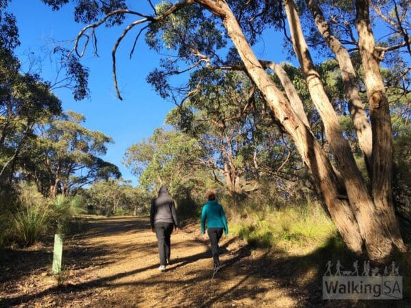 Stringybark, Deep Creek Circuit Walk (2.5km) Stringybark and deep creek 600x450