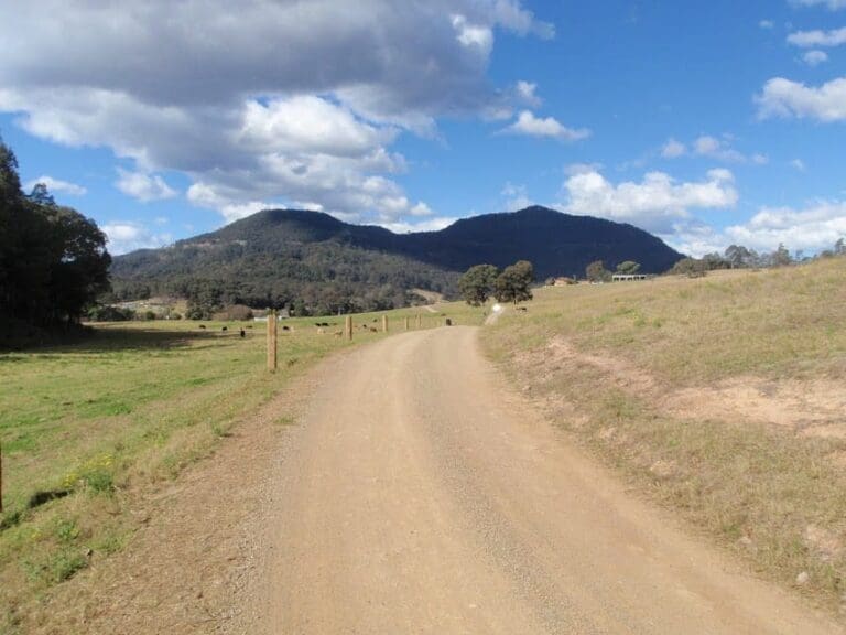 Watagan creek road to congewai valley track head west 768x576