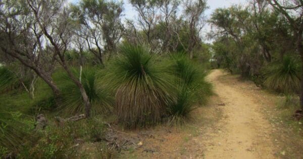 Yaberoo budjara heritage trail 600x315