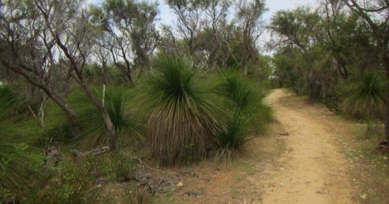 Yaberoo Budjara Heritage Trail Walk (28km) Yaberoo budjara heritage trail 768x403