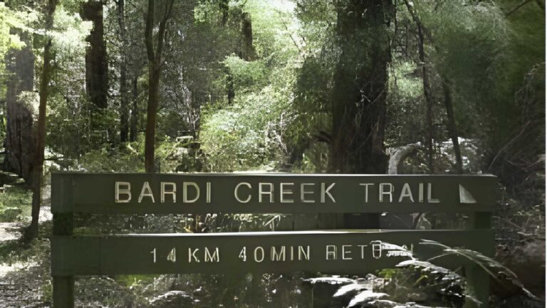 Bardi creek trail walk (700m)