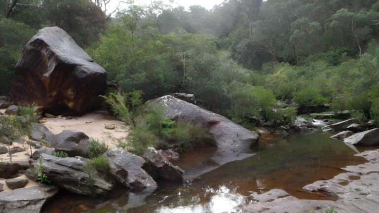 Glenbrook Gorge Track (1.7km) Glenbrook gorge track (1. 7km)