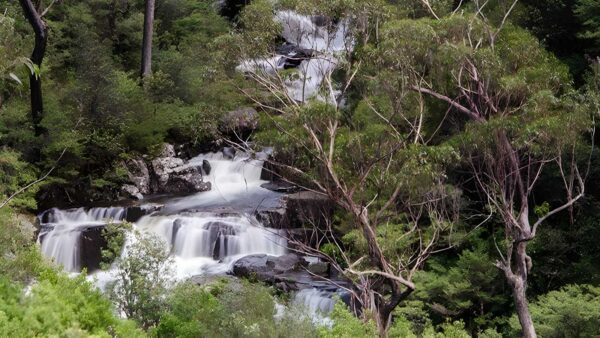 Gloucester Falls Walking Track (1.8km) Gloucester falls walking track (1. 8km)