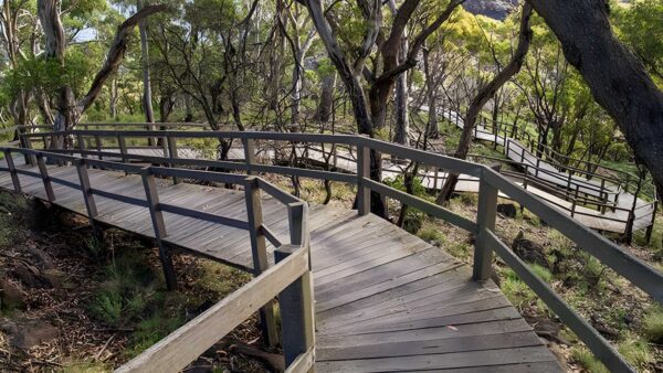 Governor summit walking track (2km)