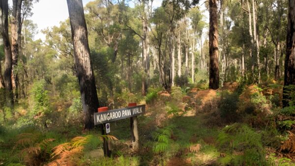 Kangaroo Paw Walk (2.4km) Kangaroo paw walk (2. 4km)