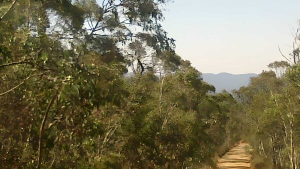 Old boboyan road hike (24km)