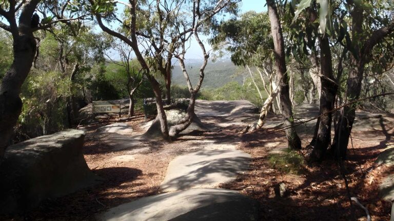 The Bluff Track (1km) The bluff track (1km)