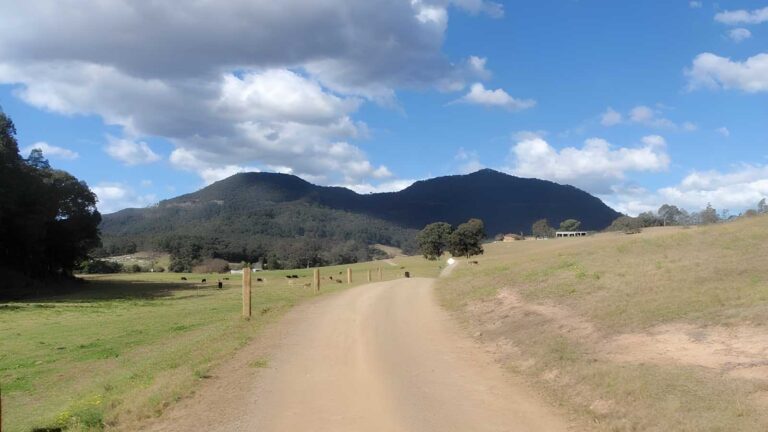 Watagan creek road to congewai valley west track hike (12. 6km)