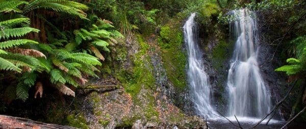 Hogarth falls trail hiking australia 600x254