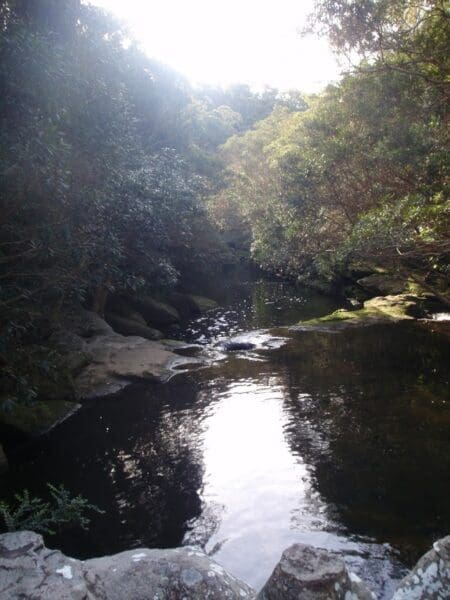 Hornsby station to crosslands 450x600