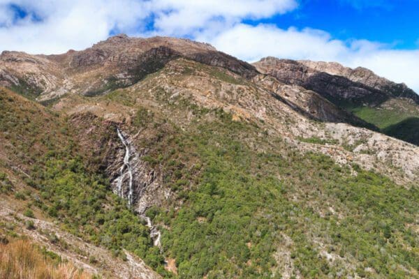 Franklin Nature Trail (1.2km) Horsetail falls 600x400