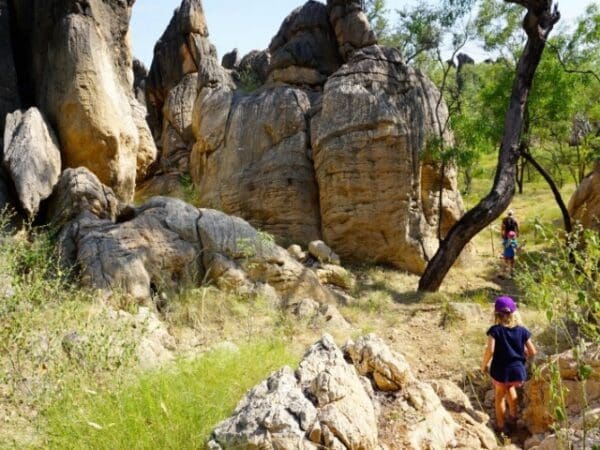 Hikes Jarrambayah trail 600x450