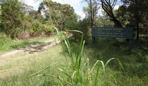 Hikes Perimeter trail trail hiking australia 600x352