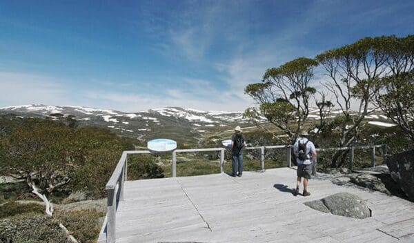 Charlotte Pass to Village Dam Walk (800m) Snow gums boardwalk trail hiking australia 600x352