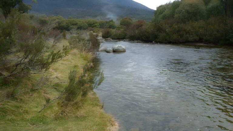 Bullock's Track - - Bullock's Hut Walk (5.2km) Bullock's track - - bullock's hut walk (5. 2km)