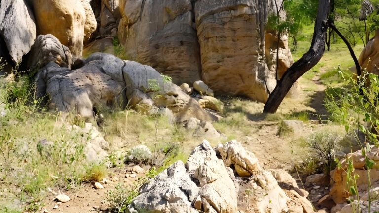 Jarrambayah trail walk (4. 4km)