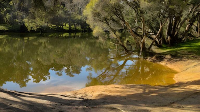 Ranford Pool Trail Walk (4km) Ranford pool trail walk (4km)