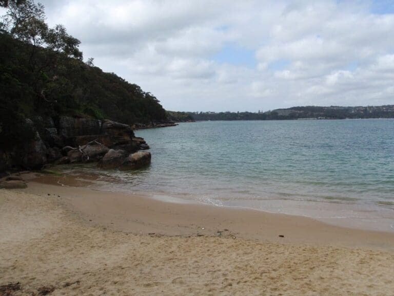 Castle Rock Beach Walk (200m) Castle rock beach 768x576