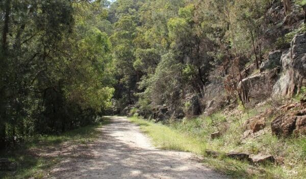 Devines hill loop trail hiking australia 600x352