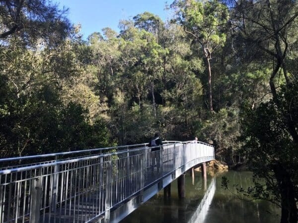 Hornsby to mt kuring gai 600x450