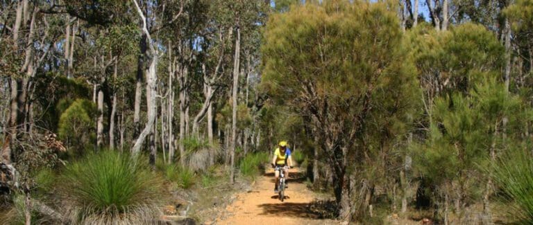 Jarrahdale Balmoral Trail Walk (12km) Jarrahdale balmoral trail 768x325