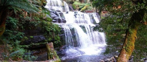 Liffey falls rail trail 600x254