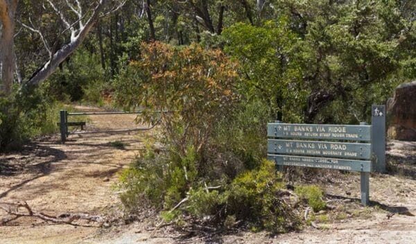 Mount Banks Road Cycle Route Hike (10km) Mount banks summit walk trail hiking australia 600x352