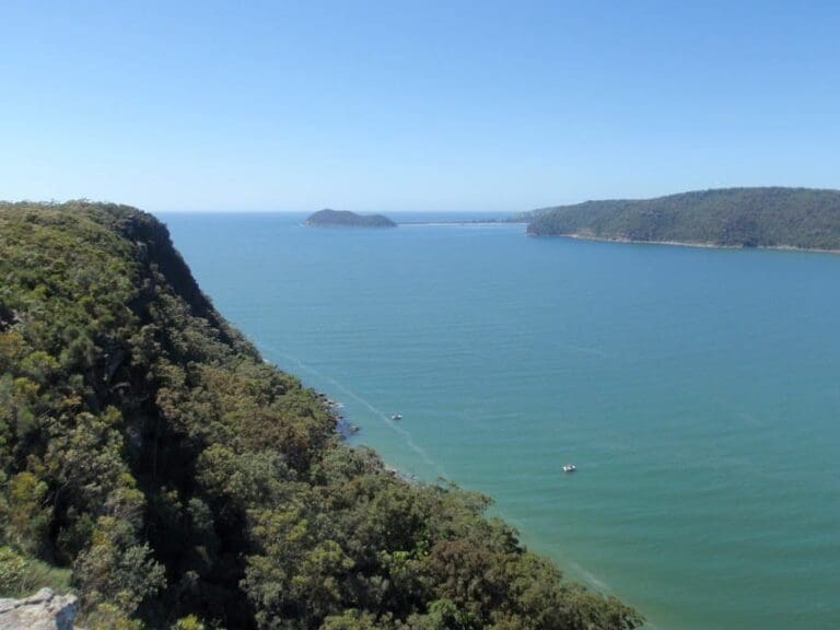 Pearl Beach to Warrah Lookout Walk (5.1km) Pearl beach to warrah lookout 768x576