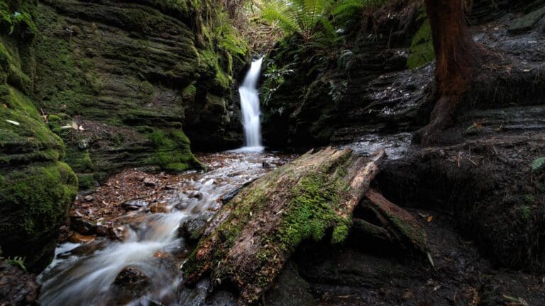 Secret Falls Walk (2km) Secret falls 768x432