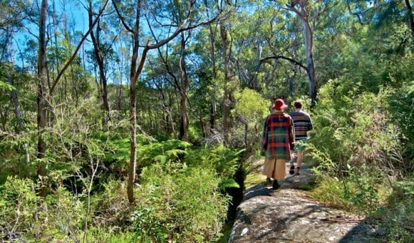 Yeramba lagoon loop track trail hiking australia 600x352