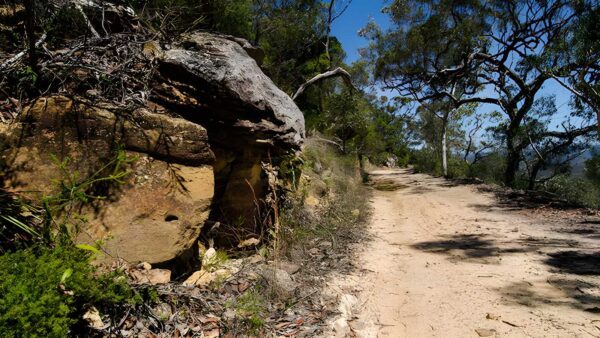 Canoelands Ridge Walking Track (21km) Canoelands ridge walking track (21km)