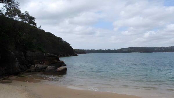 Castle Rock Beach Walk (200m) Castle rock beach walk (200m)