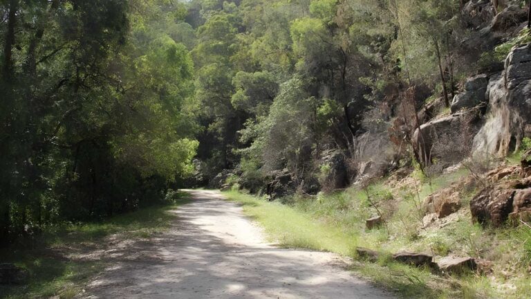 Devines Hill Loop Hike (28km) Devines hill loop hike (28km)