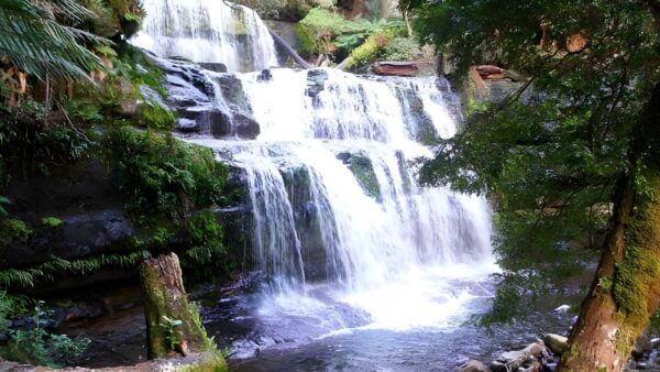 Liffey Falls Rail Trail Walk (5km) Liffey falls rail trail walk (5km)