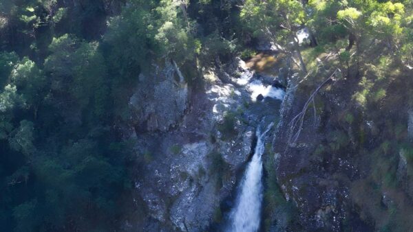 Lyrebird falls walking track (2km)