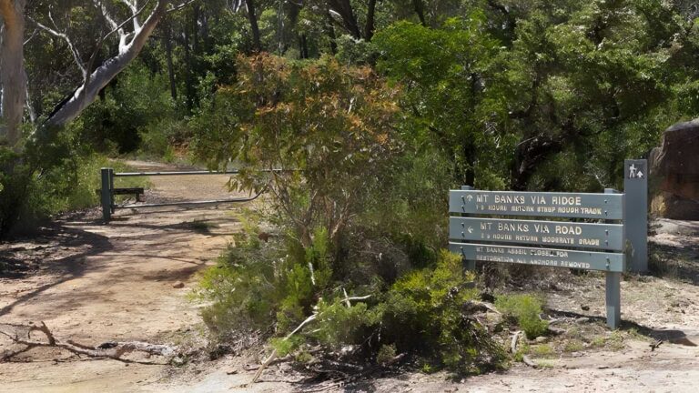 Mount Banks Summit Walk (2.4km) Mount banks summit walk (2. 4km)