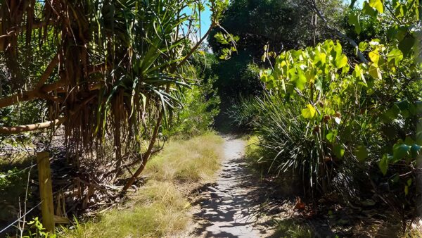 North Head Walking Track (700m) North head walking track (700m)
