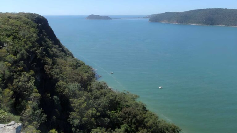 Pearl beach to warrah lookout walk (5. 1km)