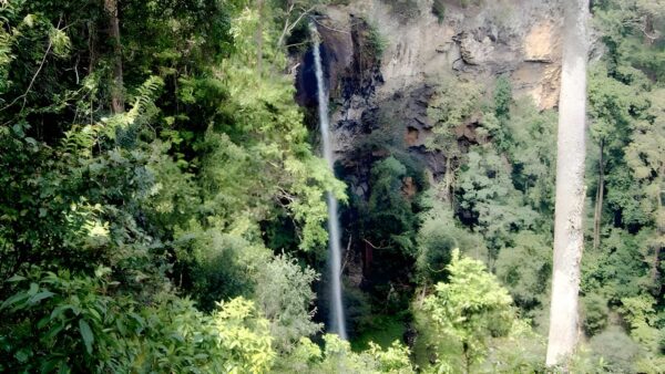 Rawson falls walk (5km)