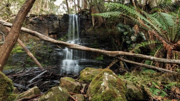 Bivouac Bay Walk (10km) Camp falls 600x338
