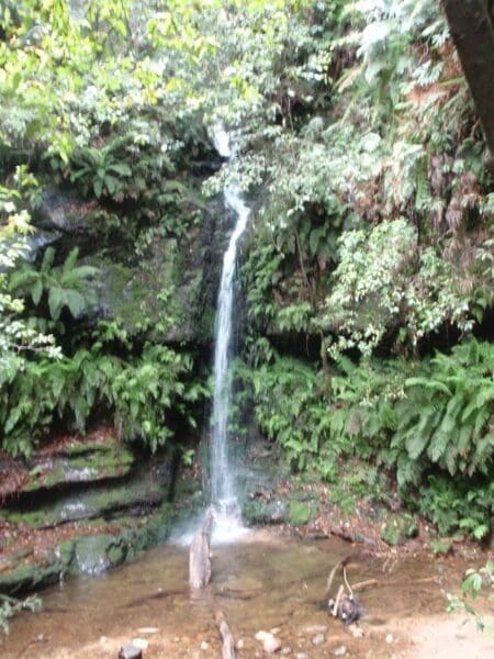 Hikes Carrington park to marguerite cascades 450x600