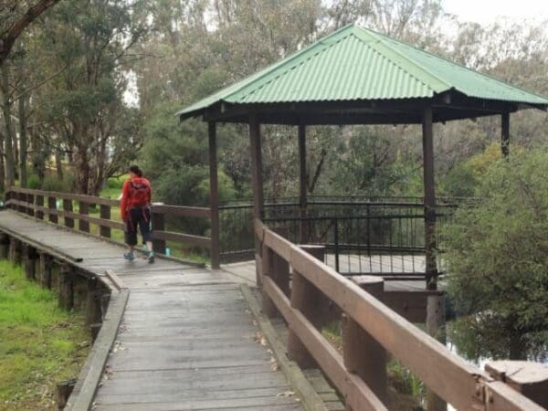 Hikes Collie river walk 600x450
