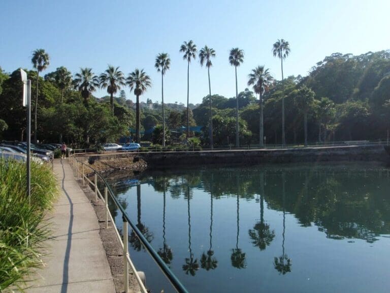 Cremorne point to taronga zoo 768x576