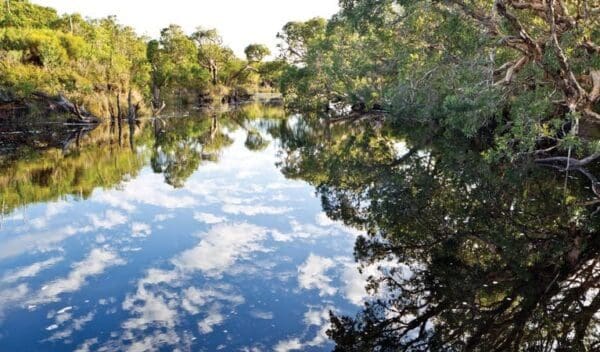 Hikes Jerusalem creek walk trail hiking australia 600x352