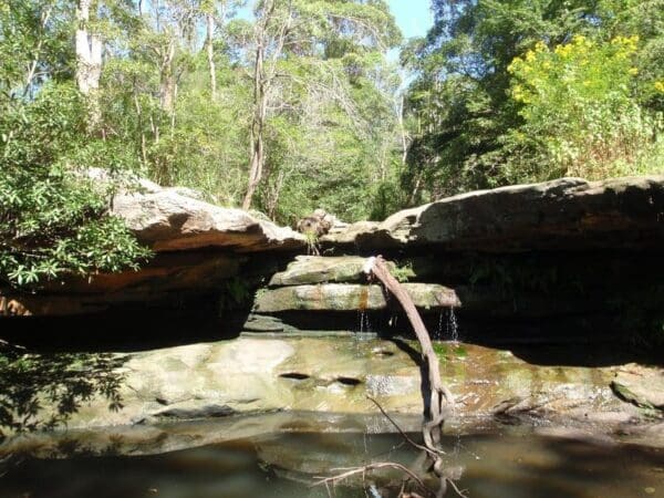 Little digger track 600x450