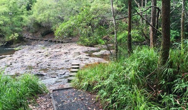 Hikes Minyon falls walking track trail hiking australia 600x352