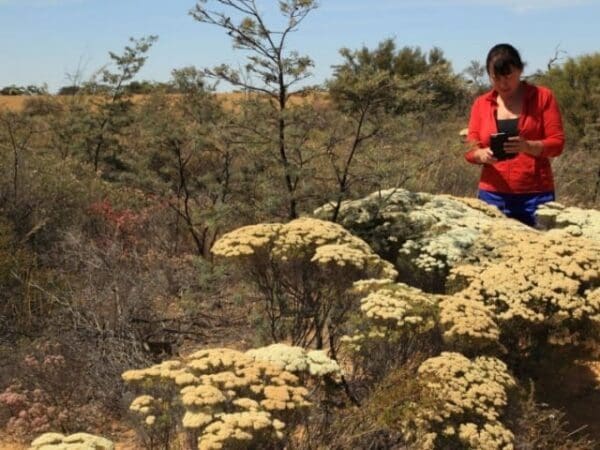 Hikes Reynoldson reserve walk trail 600x450