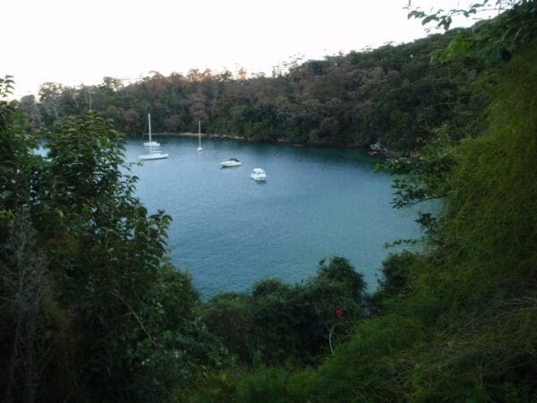 Taronga zoo clifton gardens return via sirius cove 600x450