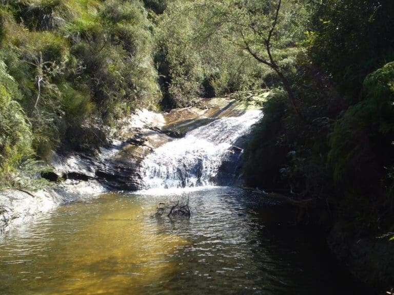 Wentworth falls station loop undercliff walk 768x576