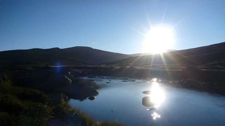 Main range track: charlotte pass to snowy river walk (1. 6km)